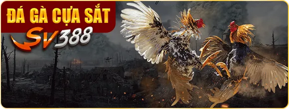 đá gà cựa sắt