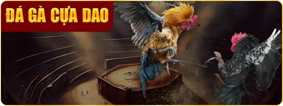 đá gà