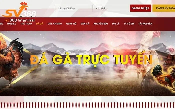 Giới thiệu về chơi đá gà online tại SV388