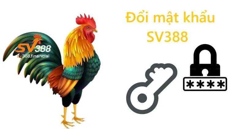 Những lưu ý quan trọng khi đổi mật khẩu SV388