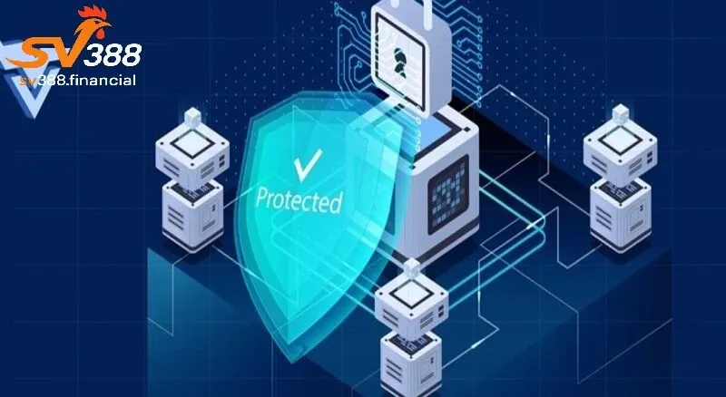 Phạm vi áp dụng của chính sách bảo mật thông tin SV388